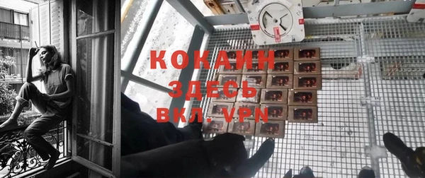 прущие крисы Алексеевка
