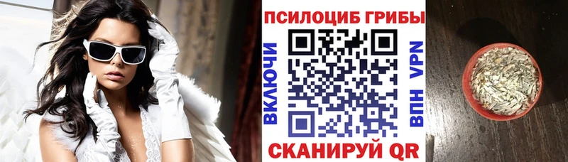 мега ссылки  Пенза  darknet официальный сайт  Галлюциногенные грибы Magic Shrooms 